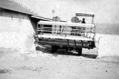 002b - Getreide einfahren auf der Farm von Claus - Societé Maire, Tunis
