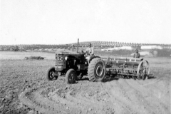002d - Getreide einfahren auf der Farm von Claus - Societé Maire, Tunis