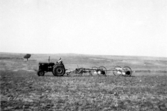 002e - Getreide einfahren auf der Farm von Claus - Societé Maire, Tunis