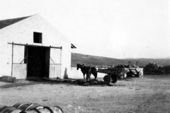 002f - Getreide einfahren auf der Farm von Claus - Societé Maire, Tunis