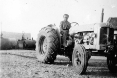 003a - Getreide einfahren auf der Farm von Claus - Societé Maire, Tunis