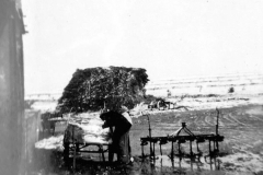 003d - Getreide einfahren auf der Farm von Claus - Societé Maire, Tunis