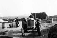 003e - Getreide einfahren auf der Farm von Claus - Societé Maire, Tunis