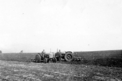 003f - Getreide einfahren auf der Farm von Claus - Societé Maire, Tunis