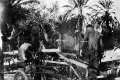 004a - Arbeiten auf der Farm Sidi Saad, Mornag, 1946