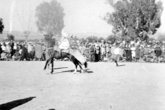 008e - Zaghouan 21.03.1957