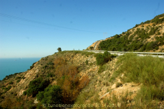 Die Halbinsel Cap Bon