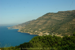 Die Halbinsel Cap Bon