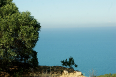Die Halbinsel Cap Bon