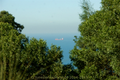 Die Halbinsel Cap Bon