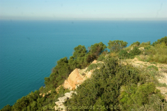 Die Halbinsel Cap Bon