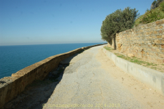 Die Halbinsel Cap Bon
