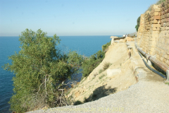 Die Halbinsel Cap Bon