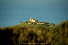 Die Halbinsel Cap Bon