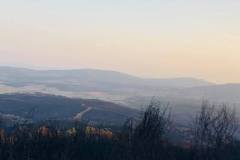 Wälder im Gouvernorat Jendouba 2021