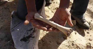 Präsenz Britische Forscher finden Hinweise auf 72.000 Jahre alten menschlichen Korridor durch Tunesien