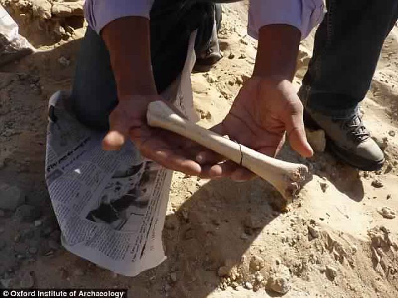 Präsenz Britische Forscher finden Hinweise auf 72.000 Jahre alten menschlichen Korridor durch Tunesien