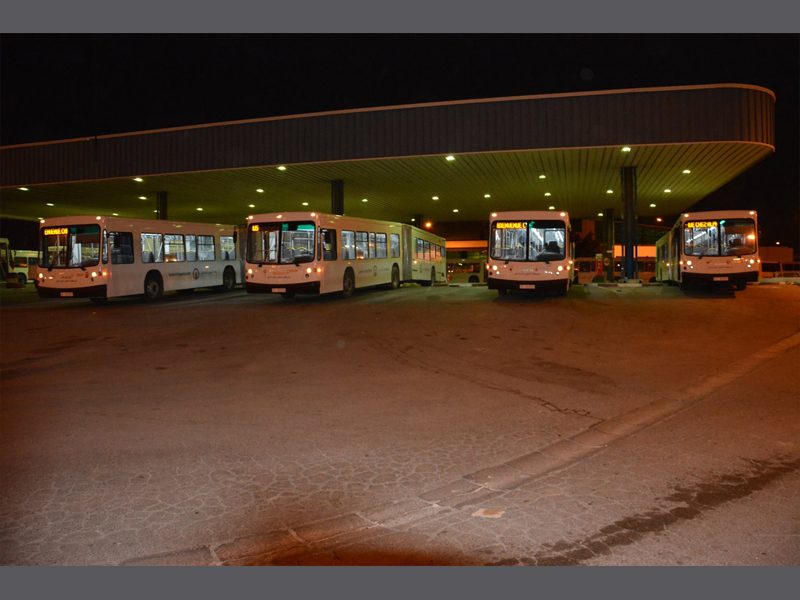 Sousse: Busflotte der STS wird um weitere neun Busse verstärkt