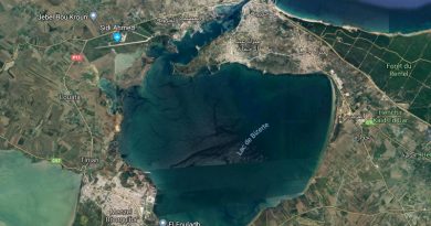 Umweltverschmutzung: Der See von Bizerté wird innerhalb von 5 Jahren gereinigt