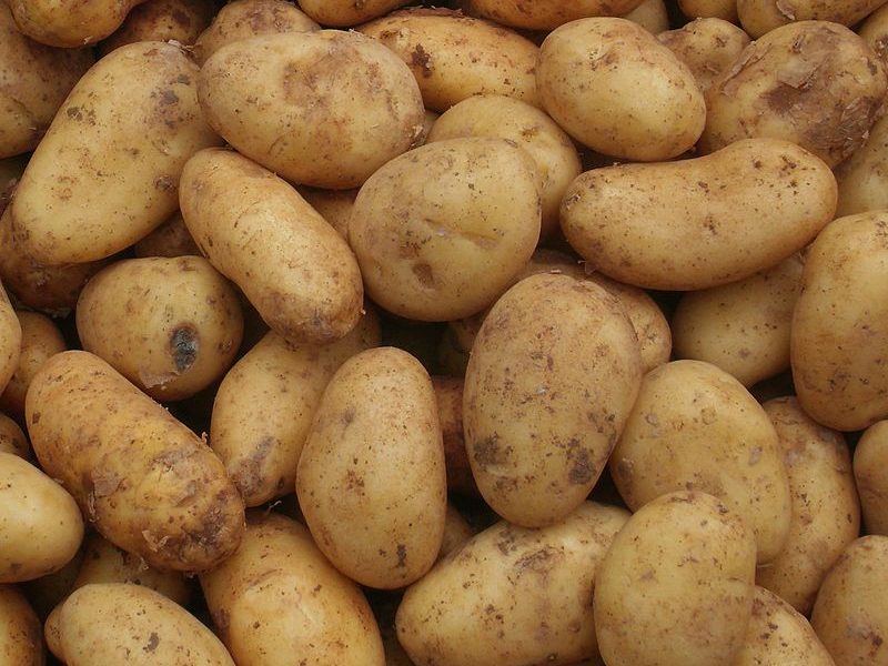 Tunesien: Anstieg bei der Produktion saisonaler Kartoffeln bis August 2018