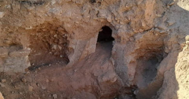 Oued Ellil, Manouba: Archäologische Fundstätte entdeckt