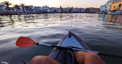 Wildyness, tunesisches Startup, spezialisiert auf alternativen und nachhaltigen Tourismus