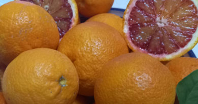 Blutorange: Wie unterscheidet sie sich von der normalen Orange?