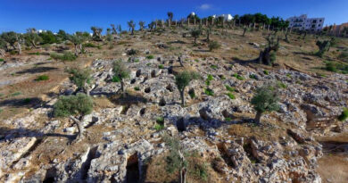 Phönizisch-punische Kultur verbreitete sich durch kulturellen Austausch - Bild: Punische Nekropole von Puig des Molins auf Ibiza. In einer neuen Studie wurde alte DNA aus menschlichen Überresten aus dieser und anderen bedeutenden phönizisch-punischen Ausgrabungsstätten sequenziert. © Photo Raymar, MAEF