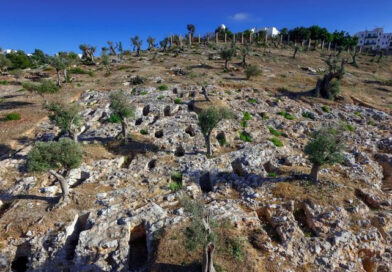 Phönizisch-punische Kultur verbreitete sich durch kulturellen Austausch - Bild: Punische Nekropole von Puig des Molins auf Ibiza. In einer neuen Studie wurde alte DNA aus menschlichen Überresten aus dieser und anderen bedeutenden phönizisch-punischen Ausgrabungsstätten sequenziert. © Photo Raymar, MAEF