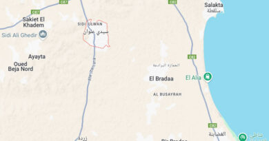 Sidi Alouane (Mahdia): Zweite punische Stadt nach Kerkouane entdeckt?