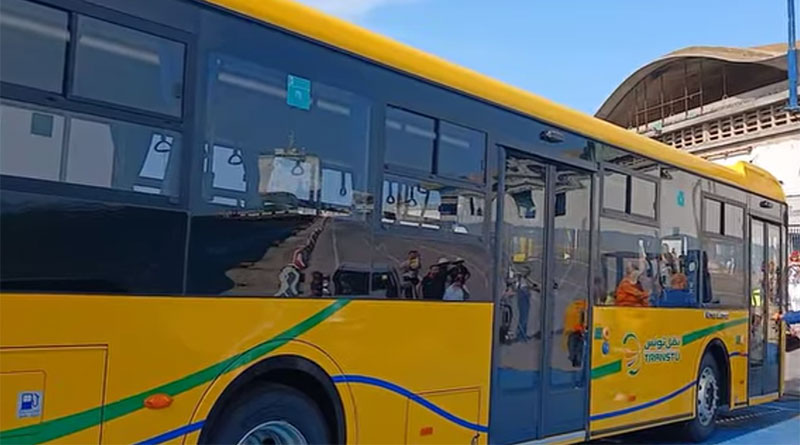 zweite Lieferung chinesischer Busse