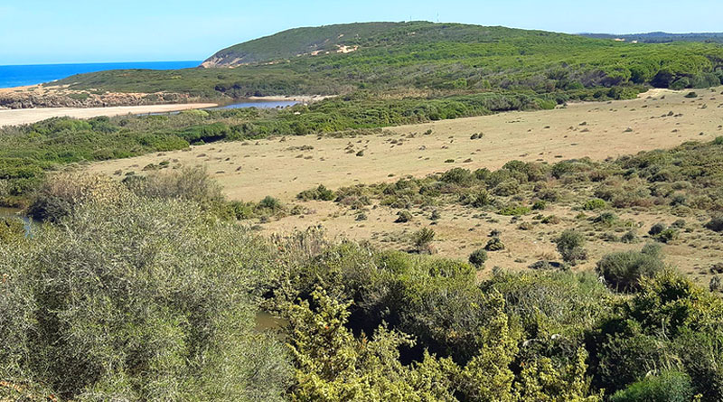 Costa Coralis: Mega-Tourismusprojekt zwischen Tabarka und Algerien