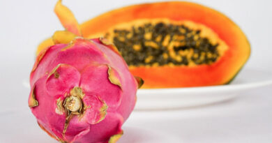 Grombalia war Veranstalter des ersten tunesischen Festivals für Drachenfrucht und Papaya