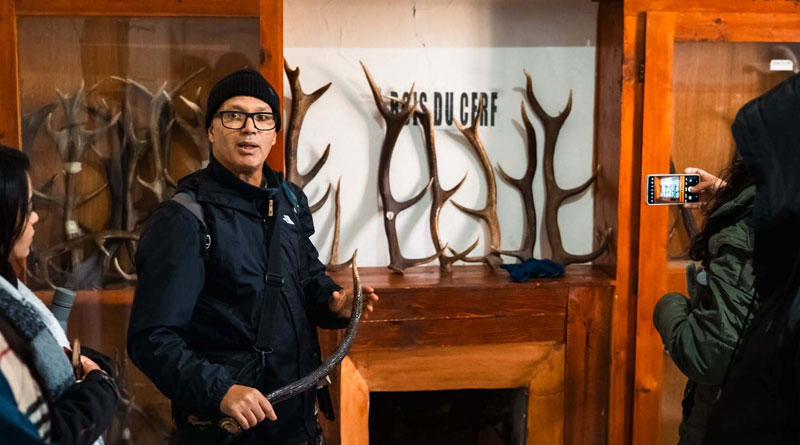 Der Atlashirsch ist zur&uuml;ck in Tunesien