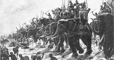 Knochenfund in Cordoba (Spanien) könnte legendäre Alpenüberquerung von Kriegselefanten belegen