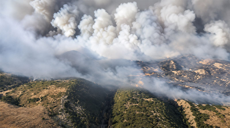 Feuer vom Jebel Chahma in Zaghouan nach 40 Stunden gelöscht